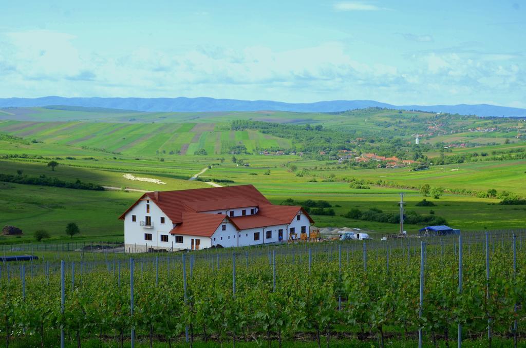 Pensiunea Kemsilvanum Fort Silvan Camar Екстер'єр фото