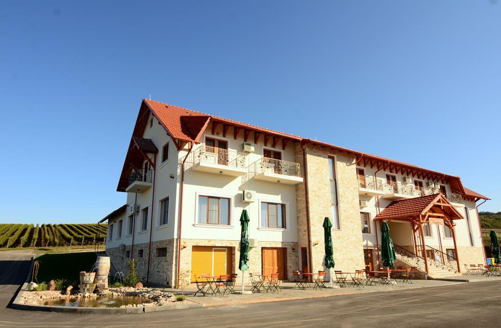Pensiunea Kemsilvanum Fort Silvan Camar Екстер'єр фото